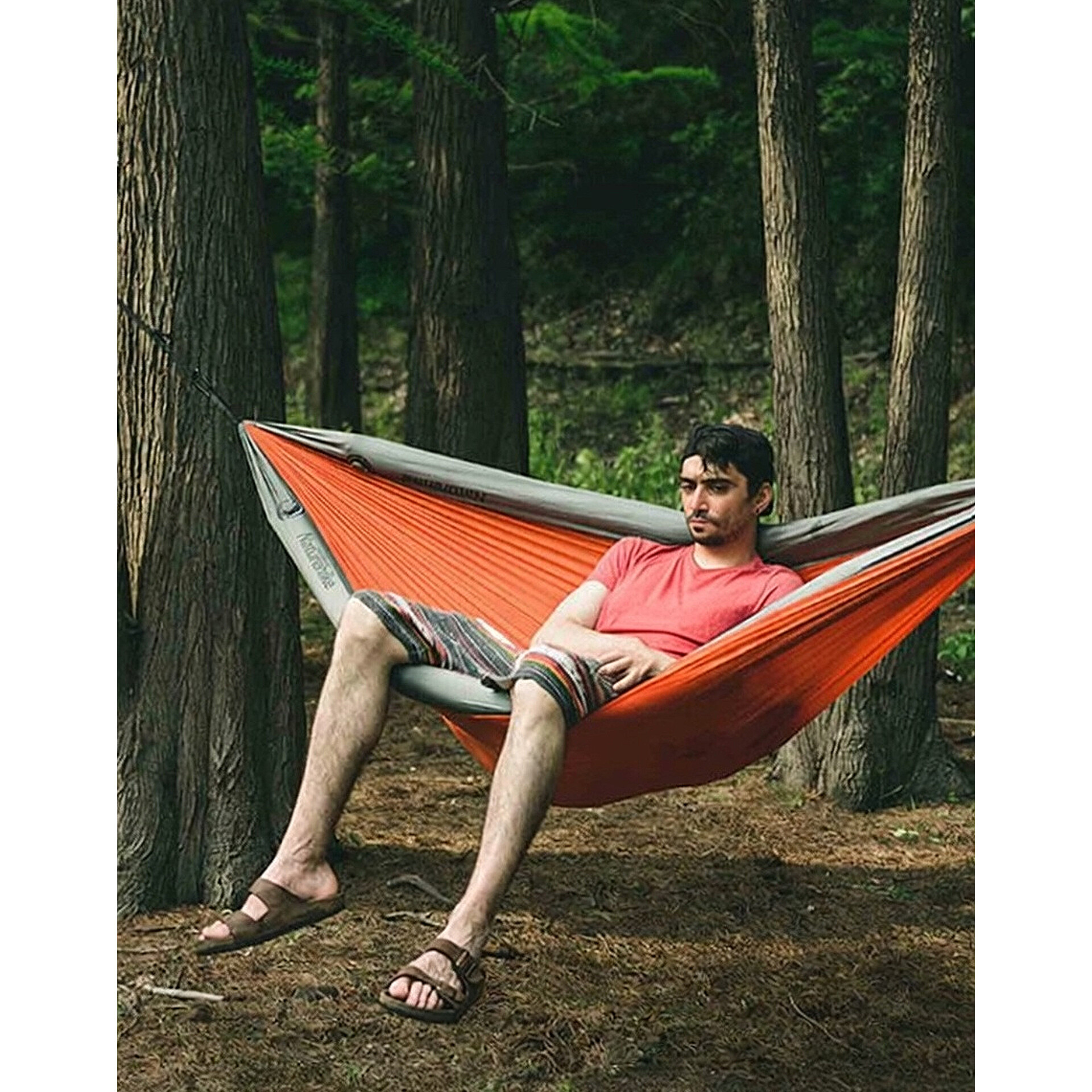 HAMMOCK