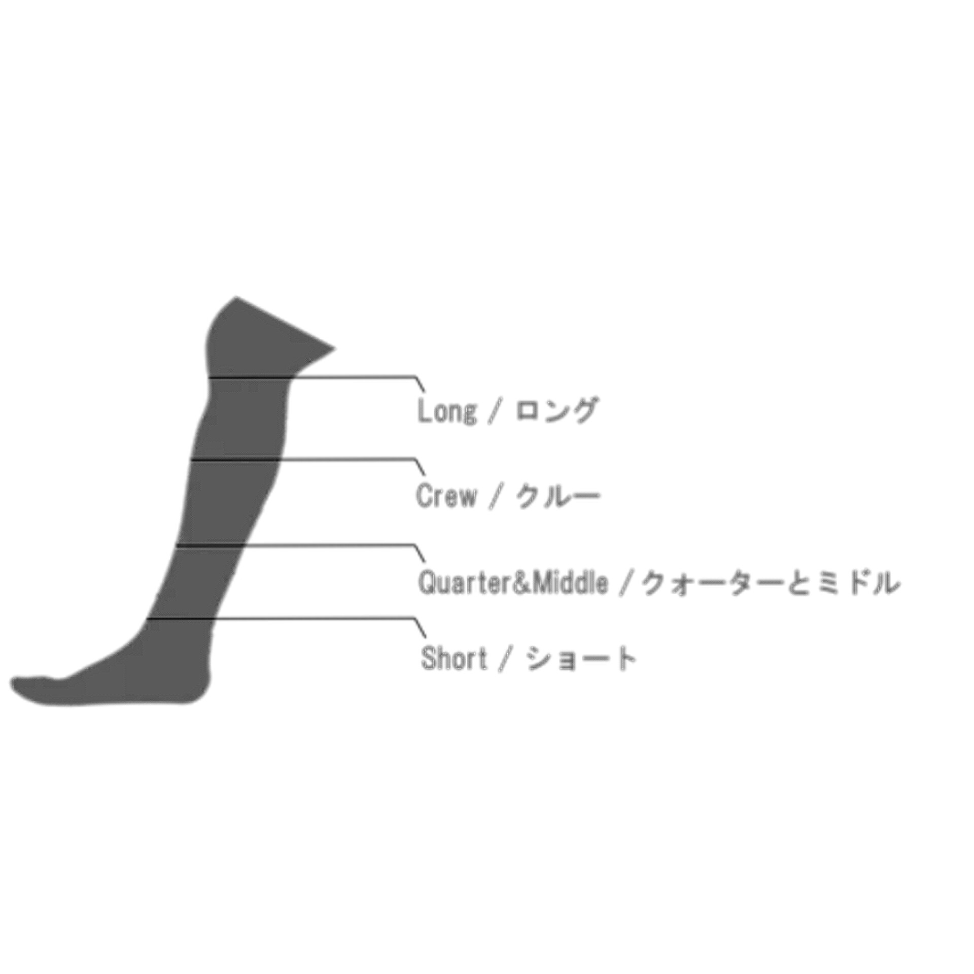 SOCK