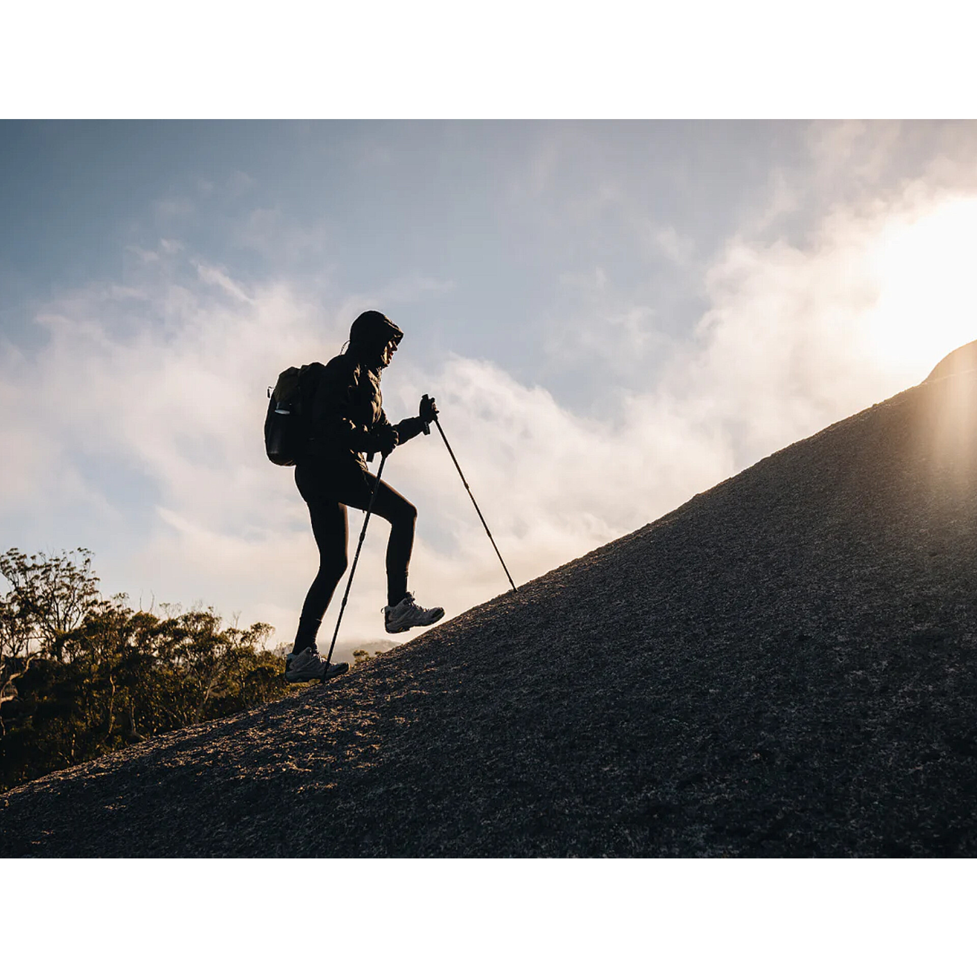 TREKKING POLES