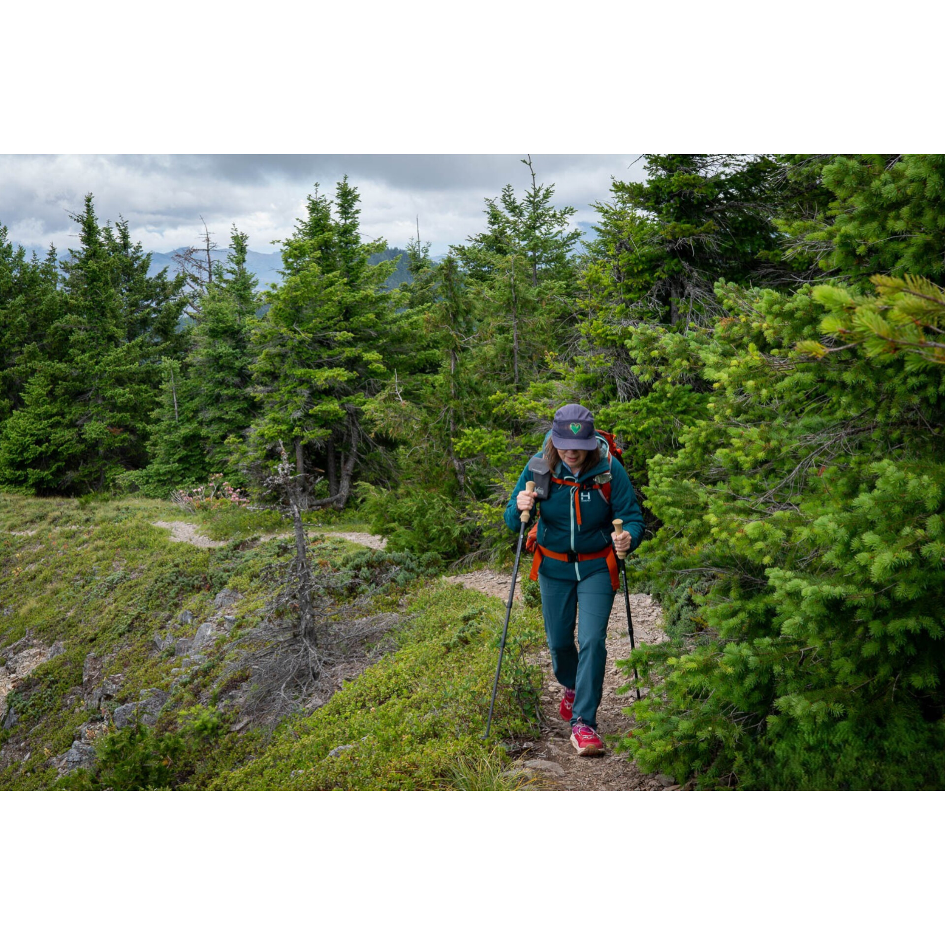 BLACK DIAMOND WOMEN'S TRAIL PRO TREKKING POLES 61-130CM