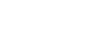 logo footer