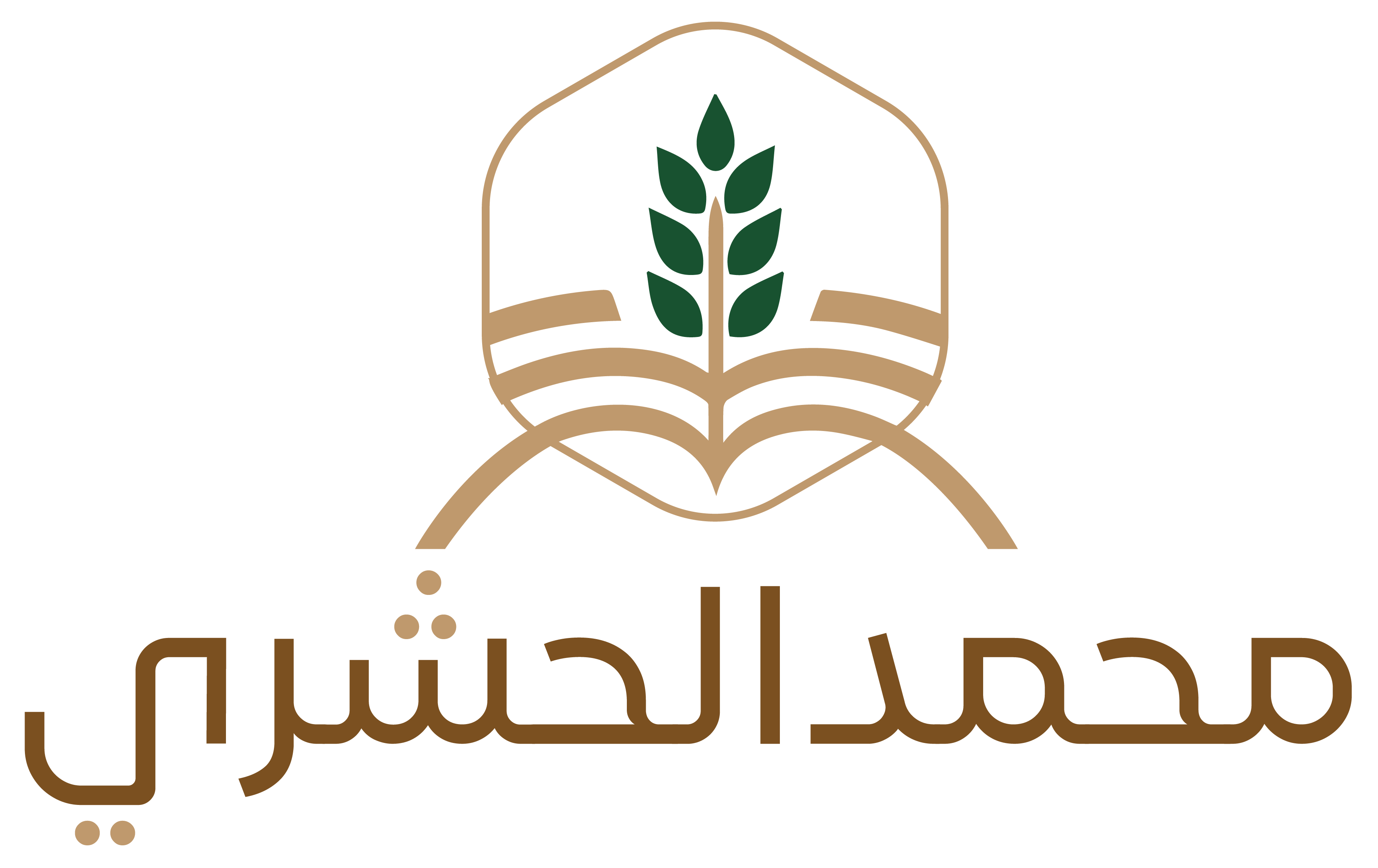 متجر محمد الحشري