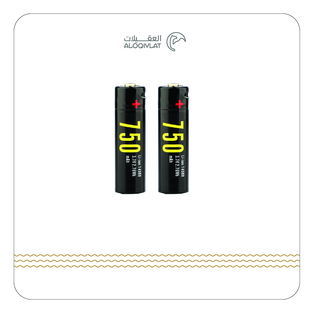 2× بطاريات ليثيوم 750 mAh قابل لإعادة الشحن AA