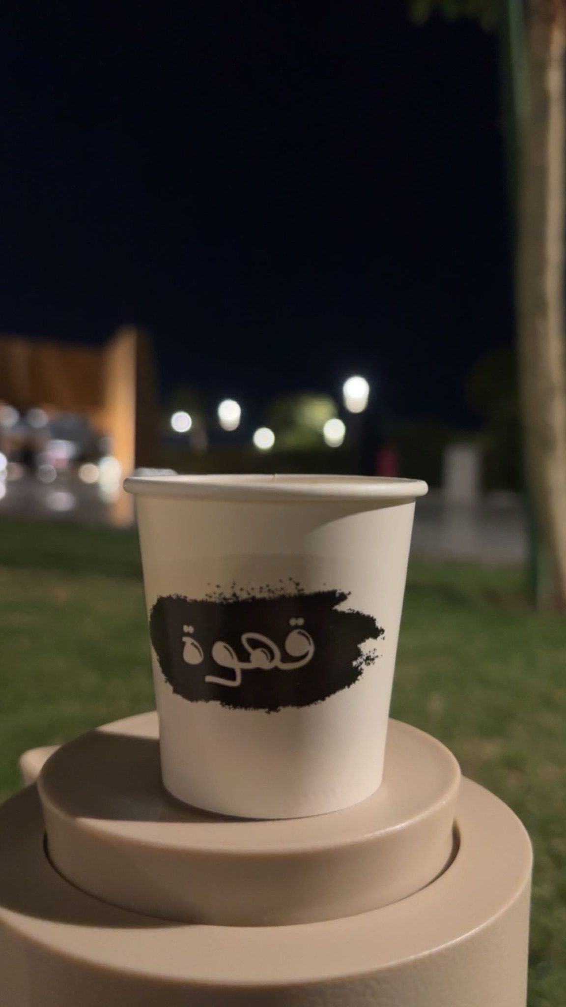 فاطمه عسيري