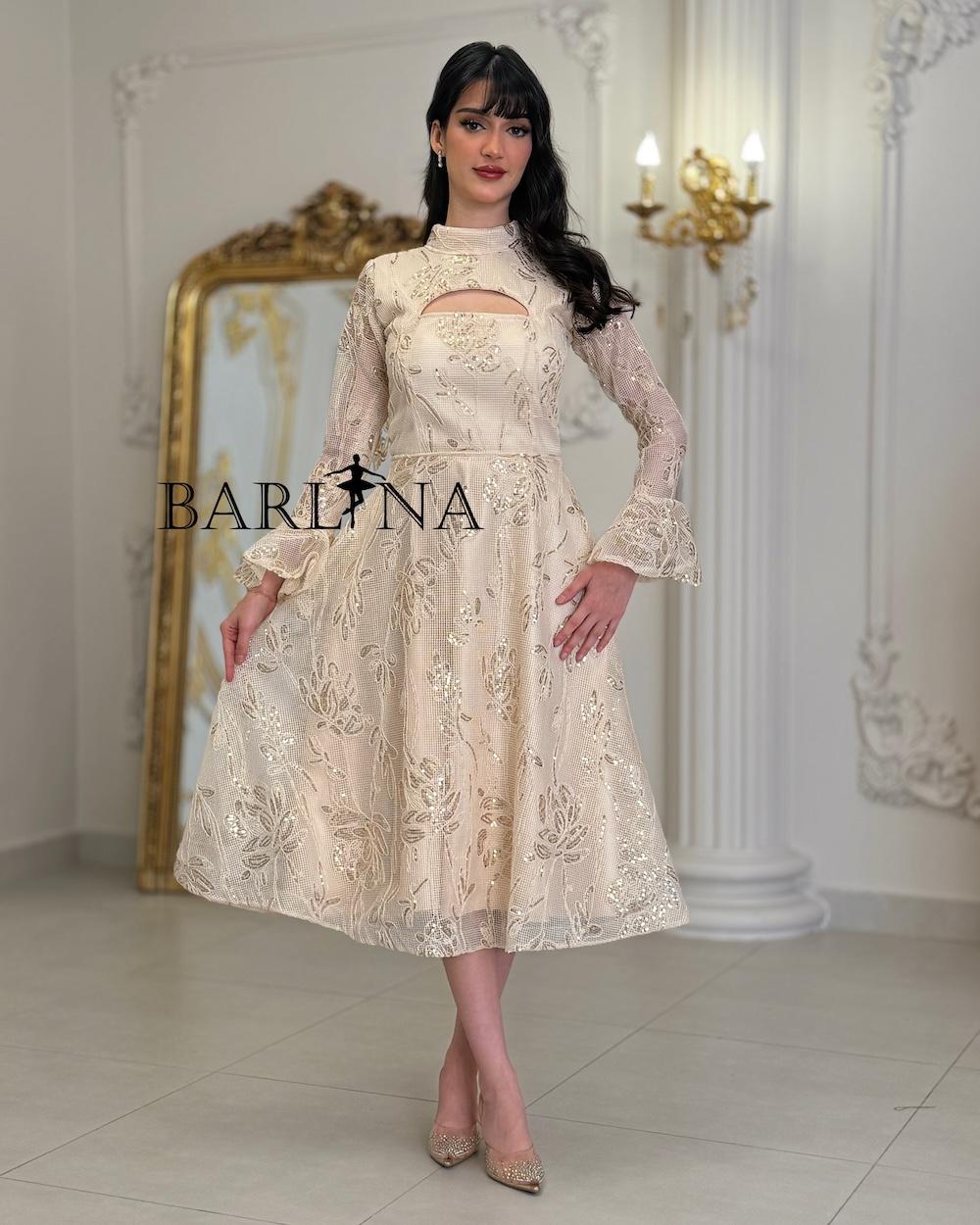 midi dress with luxurious gold embroidery