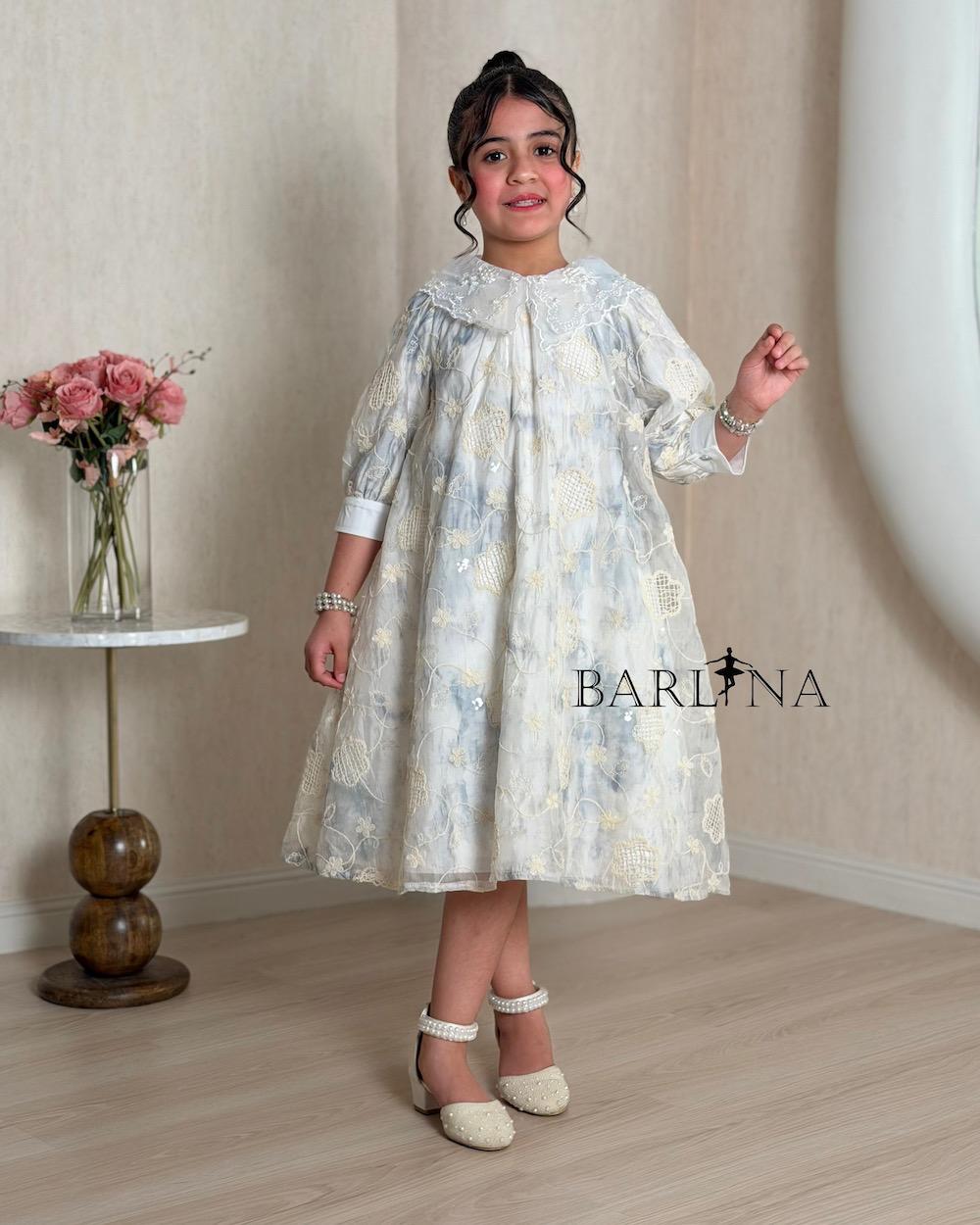 A girl's dress adorned with elegant embroidery