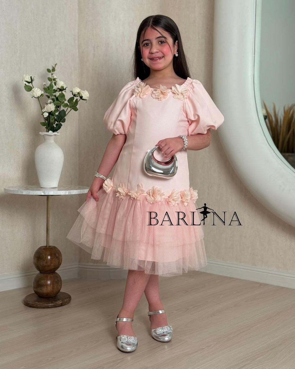 A soft girl's dress with prominent roses at the collar