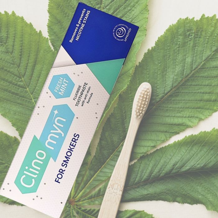 best toothpaste for tobacco stains Clinomyn Smokers Toothpaste 75ml