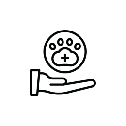 الصحة والرعاية