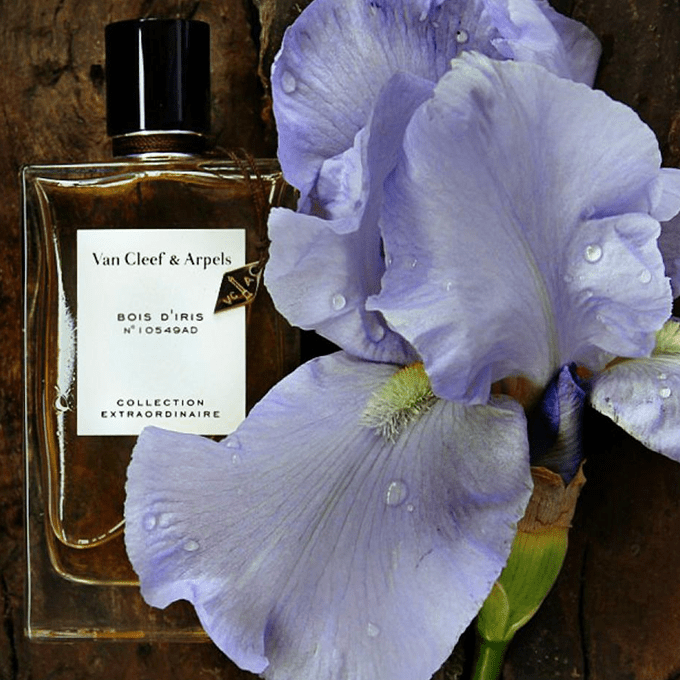  عطر بويس دي ايريس من فان كليف اند اربلز للنساء - او دي بارفيوم 