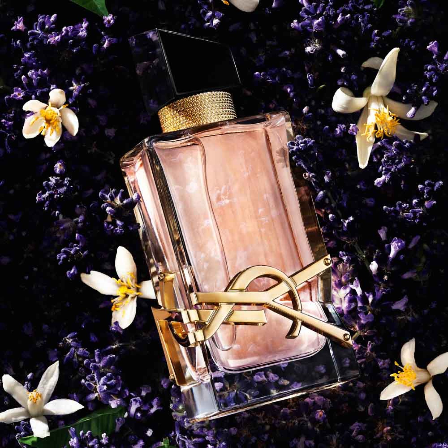  عطر ليبر من ايف سان لوران – أو دي تواليت (نسائي)  