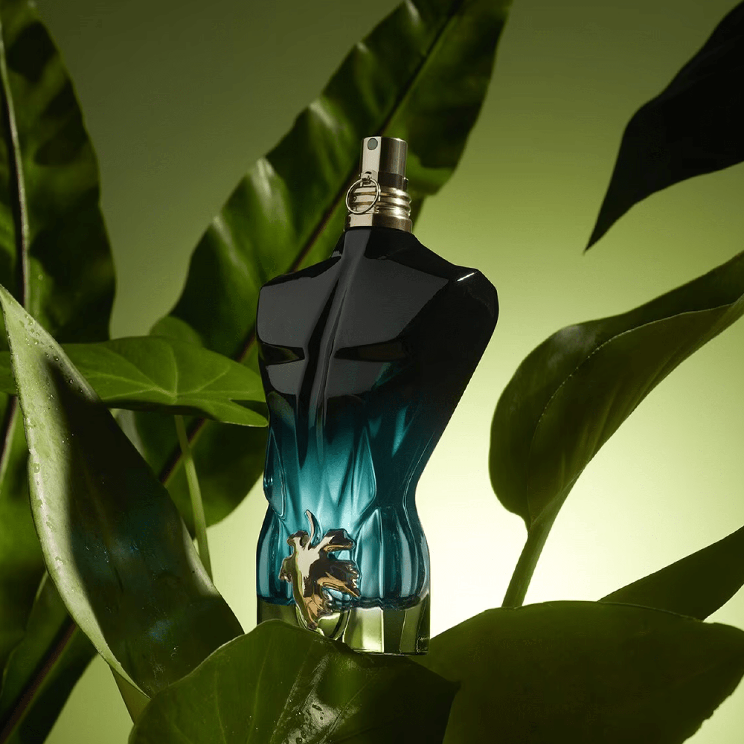  جين بول جولتير عطر لو بو لو بارفيوم للرجال - او دو بارفيوم انتنس 