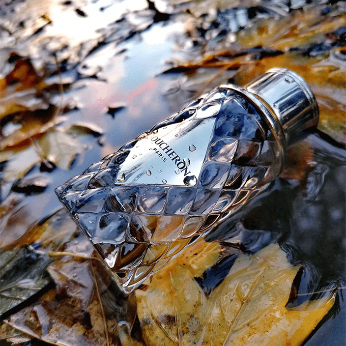  عطر بليس فيندوم من بوشرون للنساء - او دي بارفيوم 100مل 