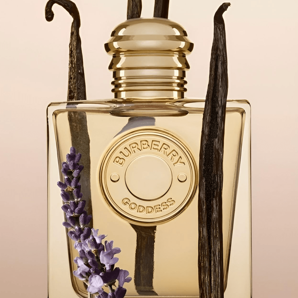  بربري عطر جوديس للنساء - او دو برفيوم 50مل 