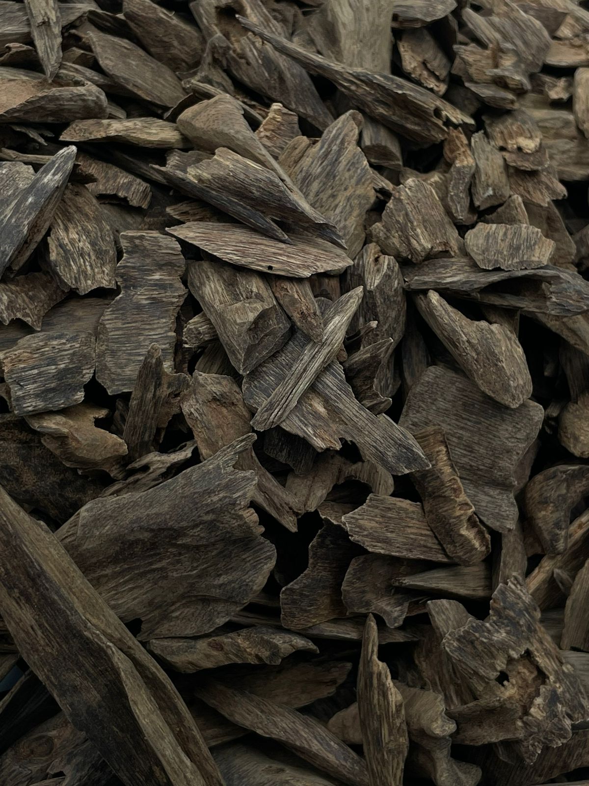 العود السلطاني (أرياني سلطاني)