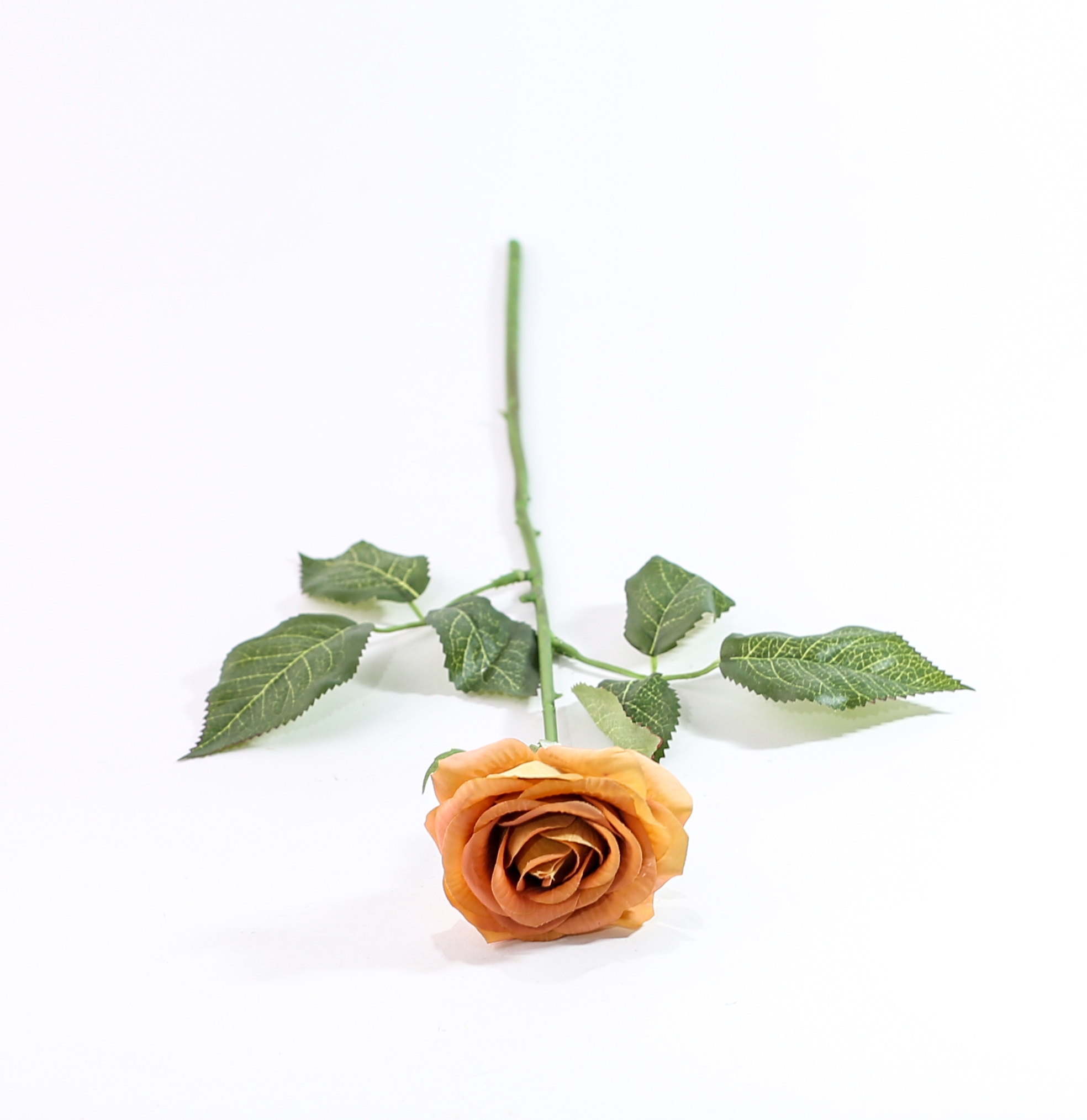 https://asraralward.com/products?search=02924
