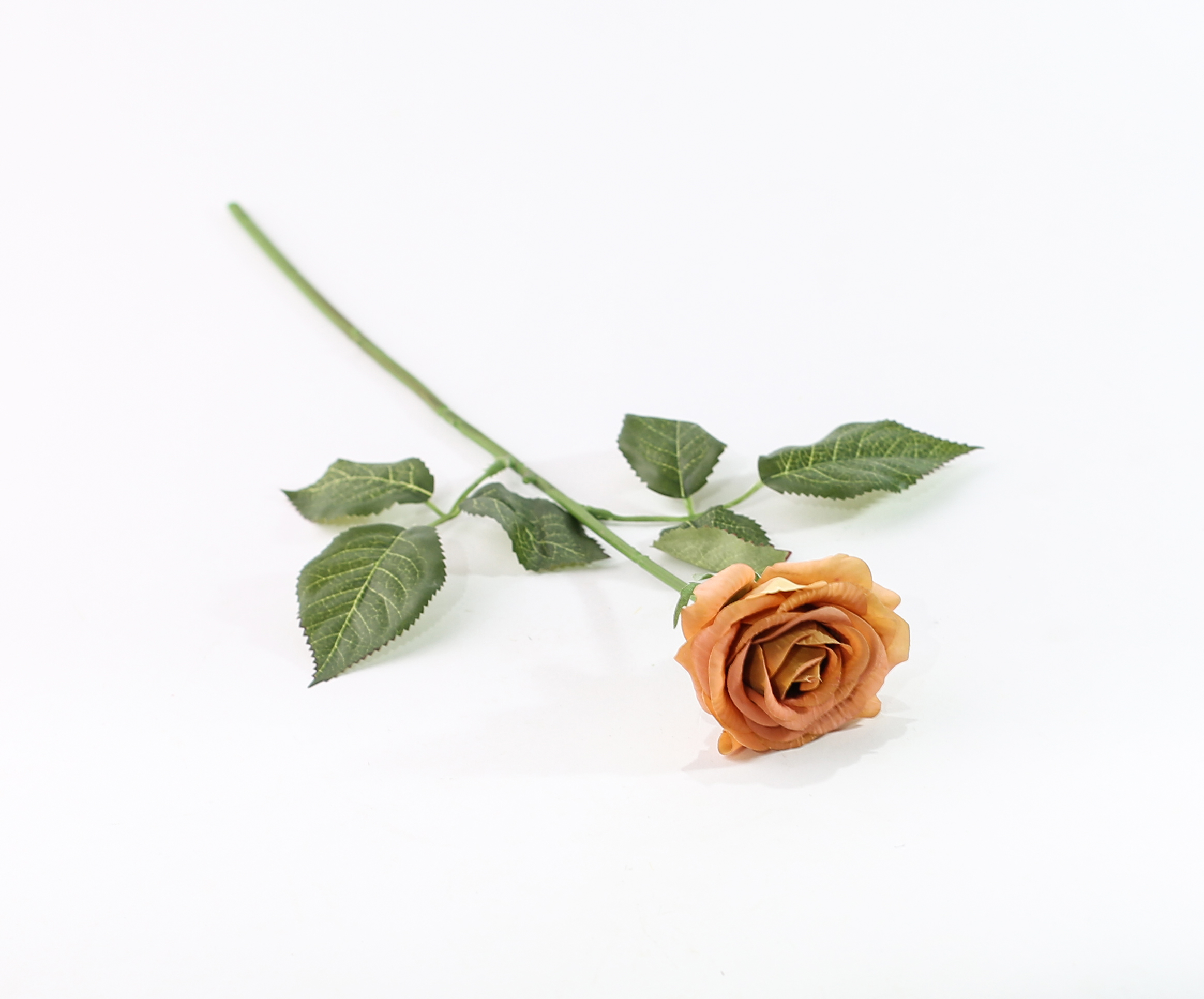 https://asraralward.com/products?search=02924
