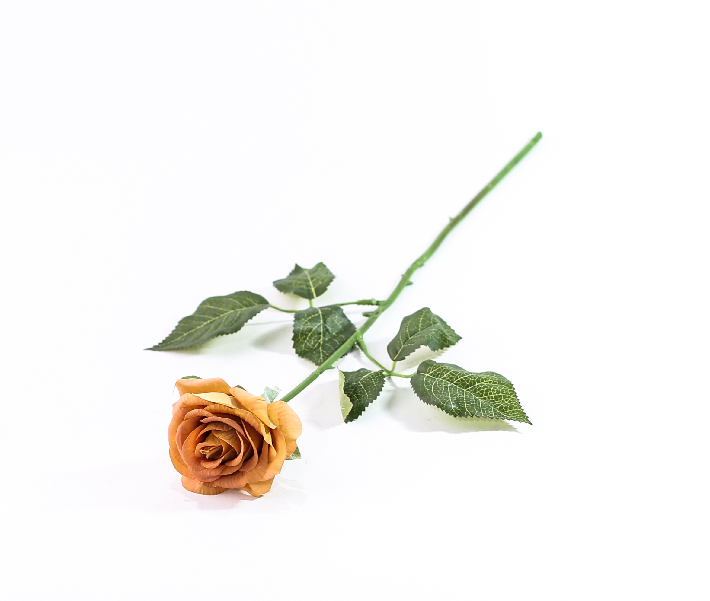 https://asraralward.com/products?search=02924