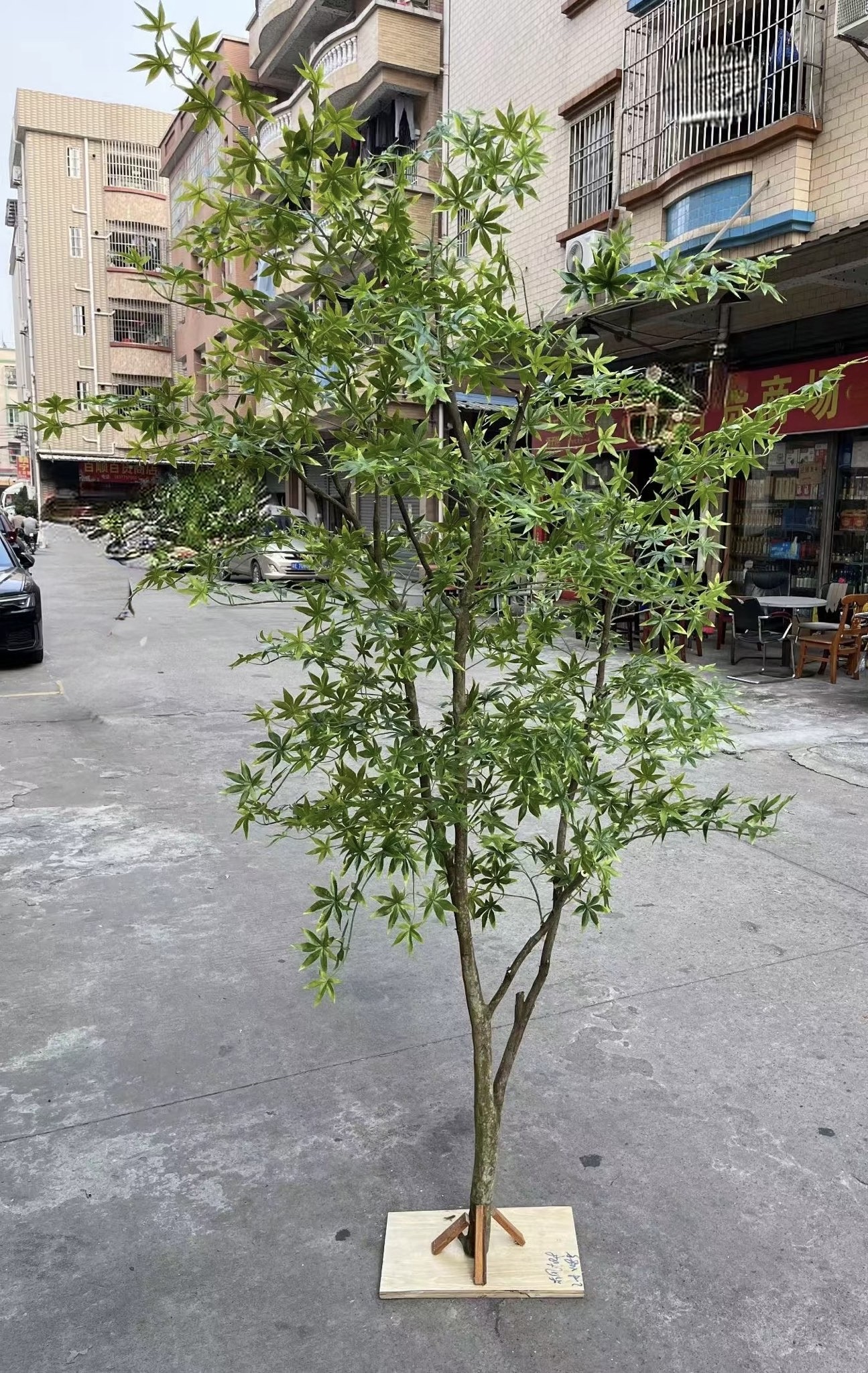 شجرة زينة