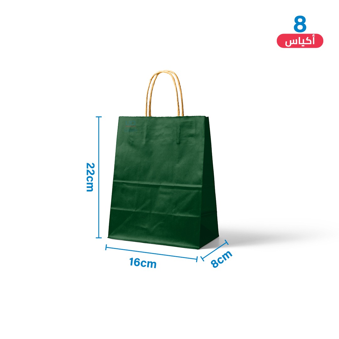 Small Green Paper Gift Bags 8 pcs