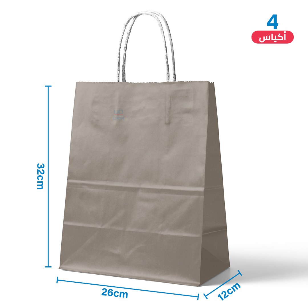 Large Gray Paper Gift Bags 4 pcs