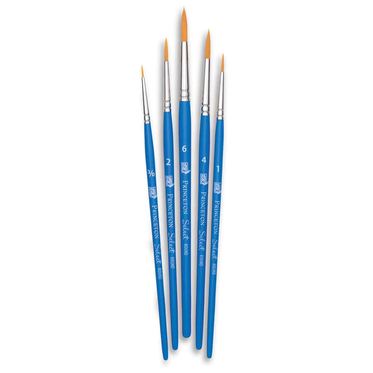 طقم 5 فرش رسم متعددة الإستخدام (Value Set 10)  , برينستون