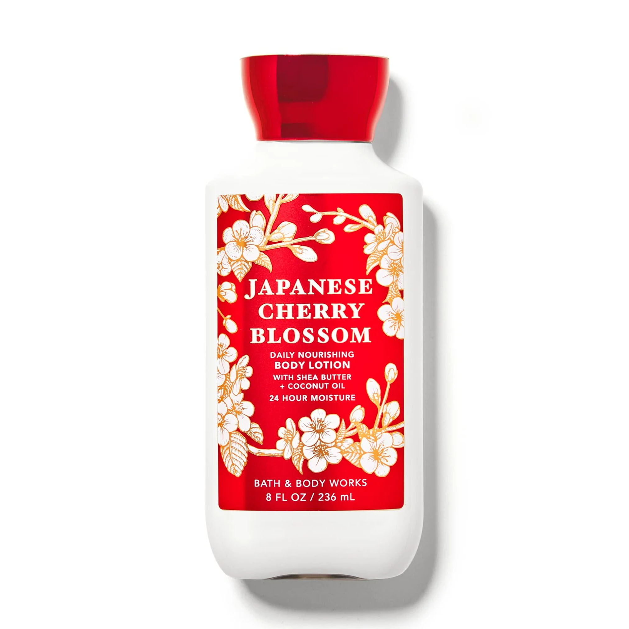 Japanese Cherry Blossom | Body Lotion