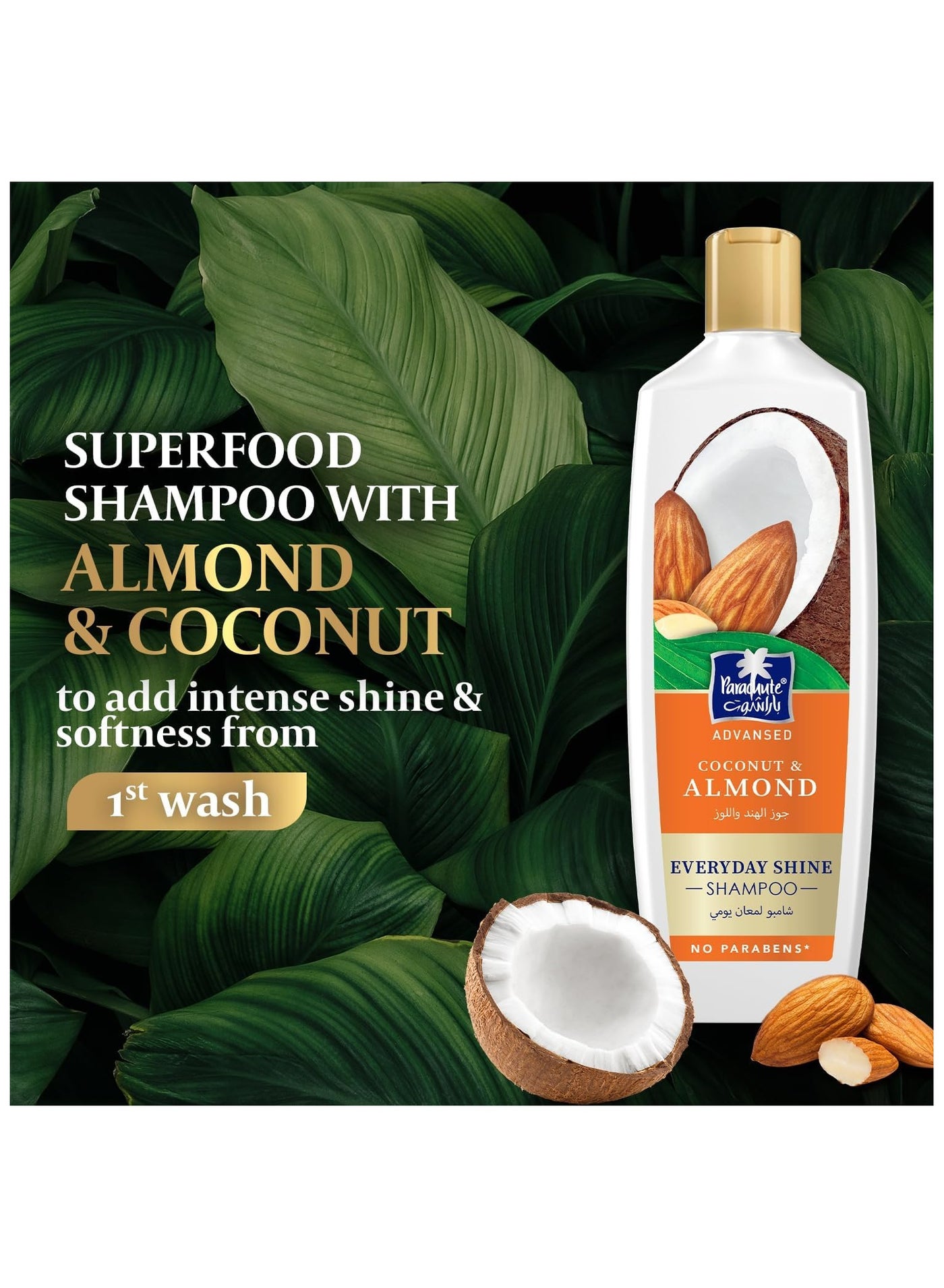 Daily Shine Shampoo with Coconut & Almond 340ml - صورة 3