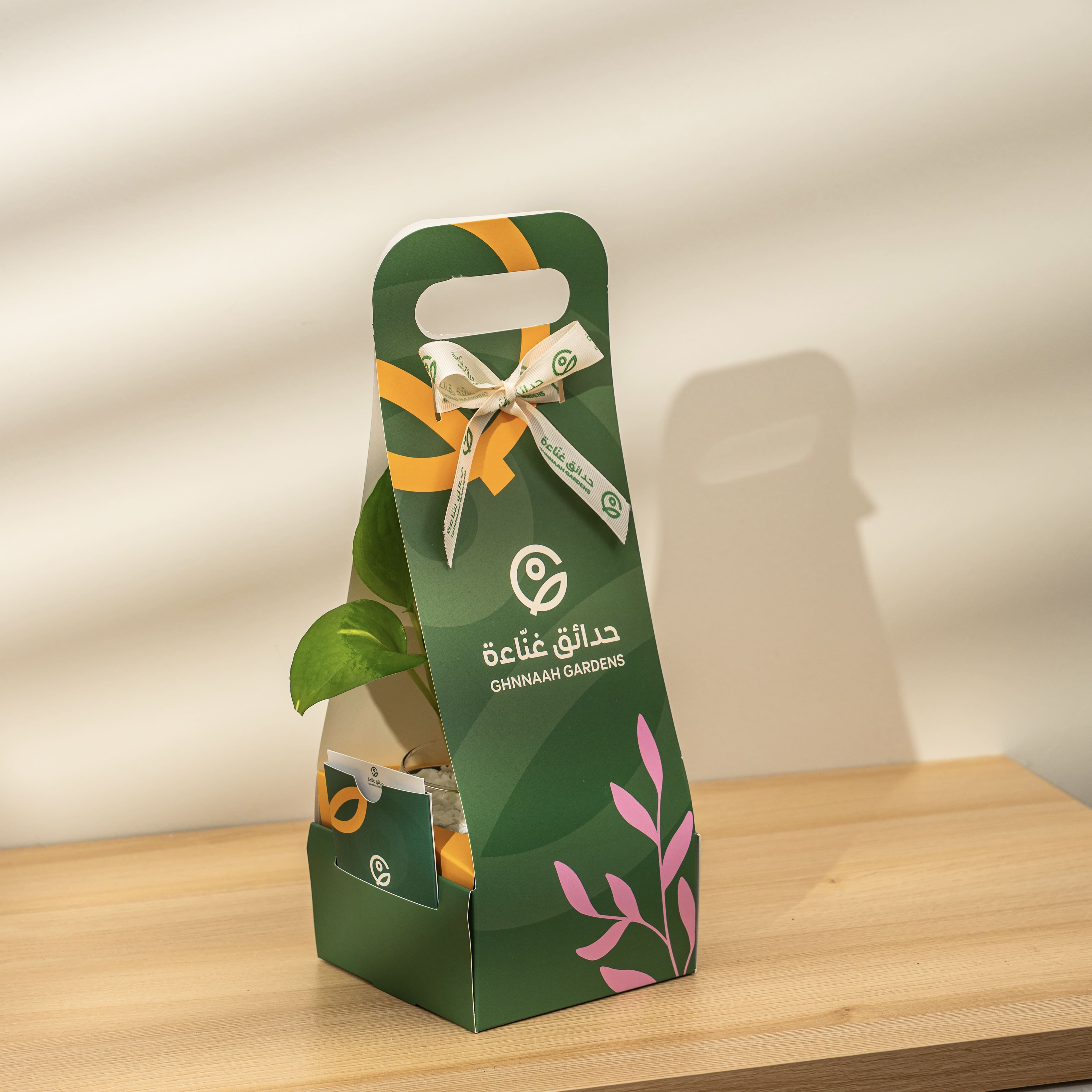  نبتة البوتس - حوض زجاجي 