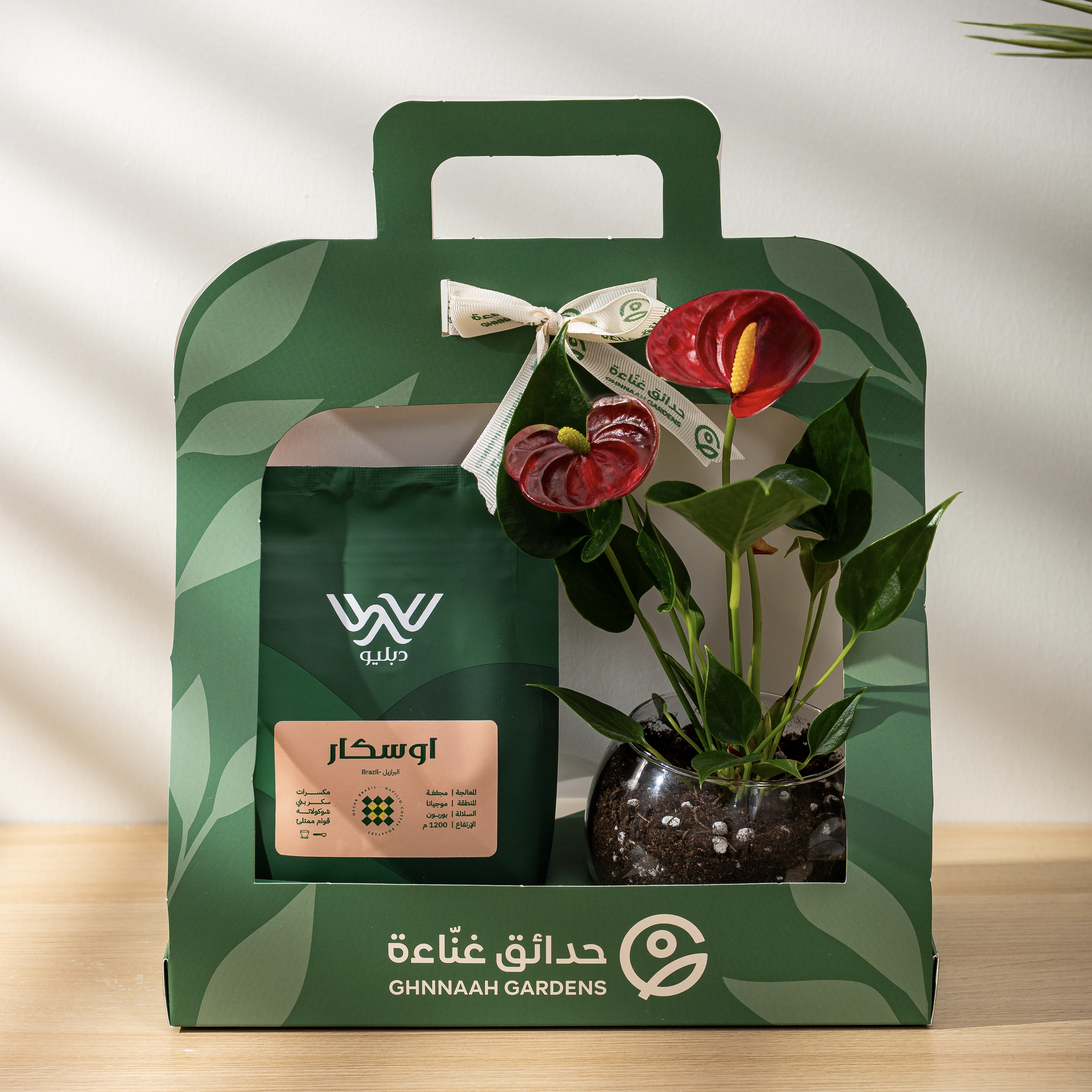  نبتة الانتوريوم مع بُن قهوة 