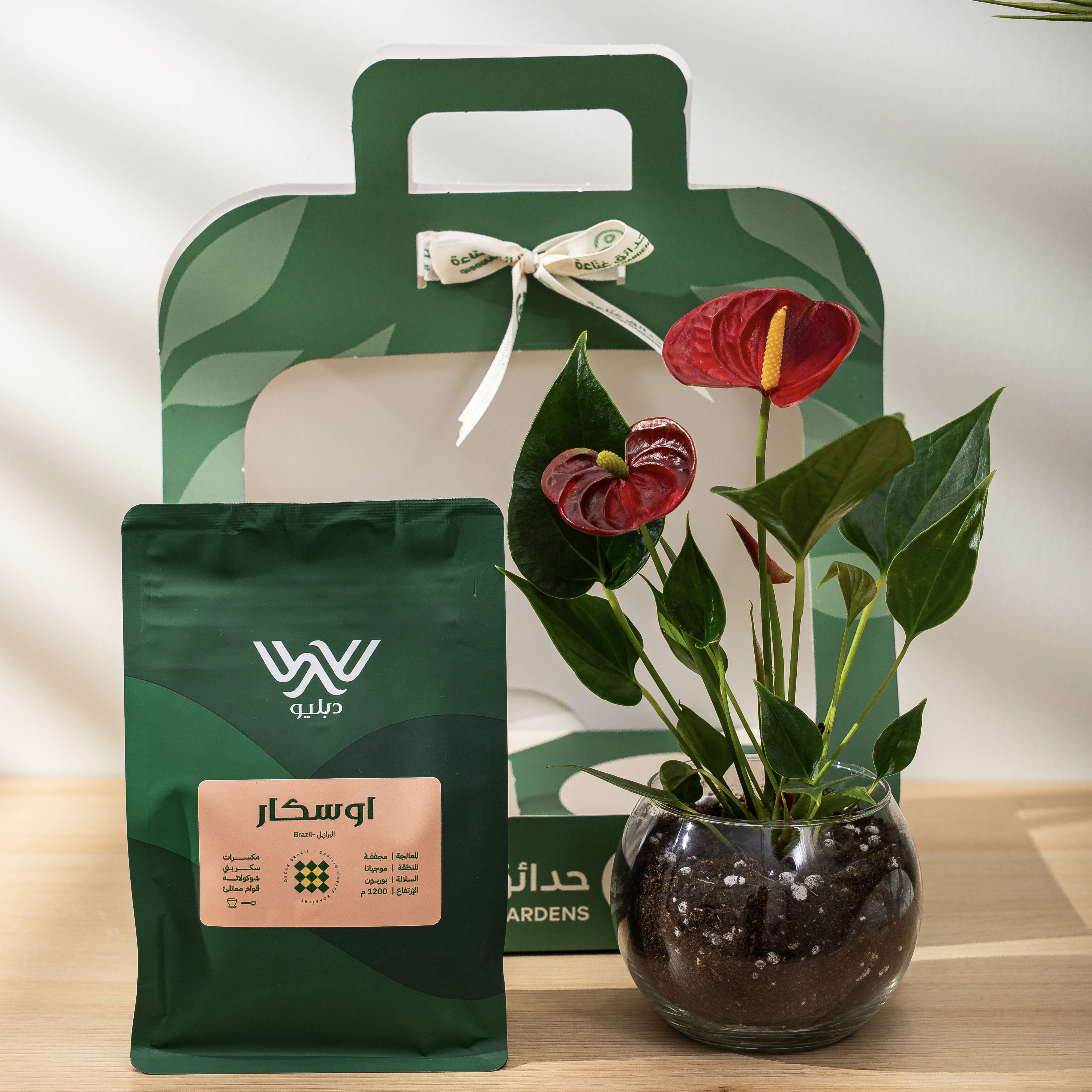  نبتة الانتوريوم مع بُن قهوة 