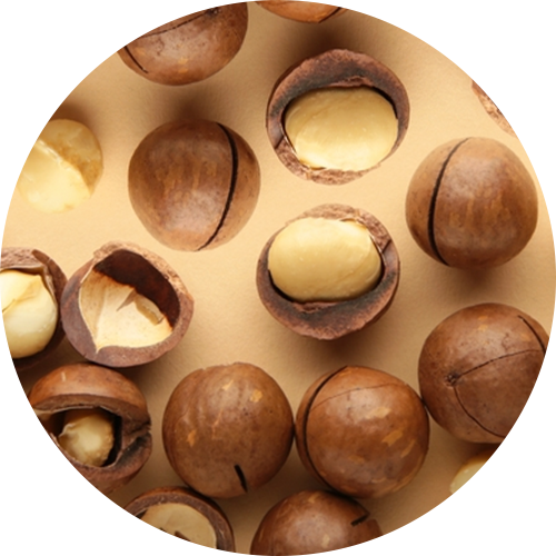 Macadamia oil