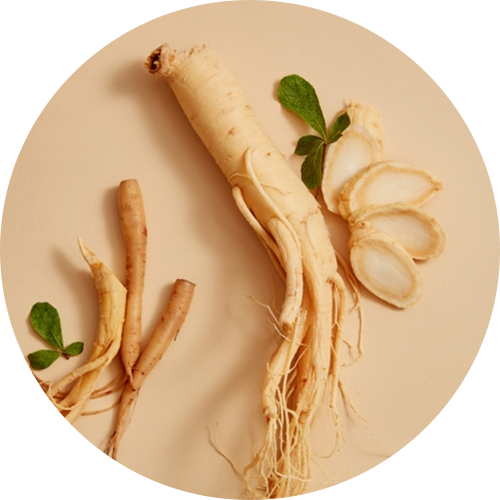 Ginseng