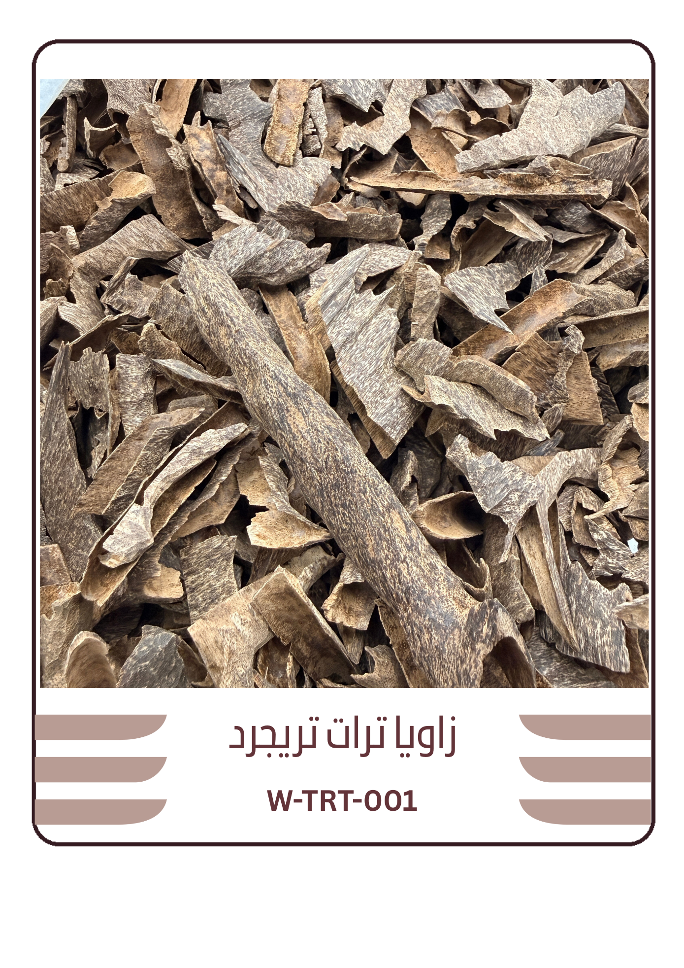 زاويا عود ترات تريجر - خصم مميز