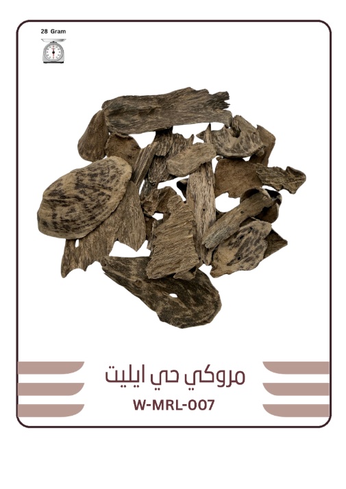 عود مروكي حي تربل