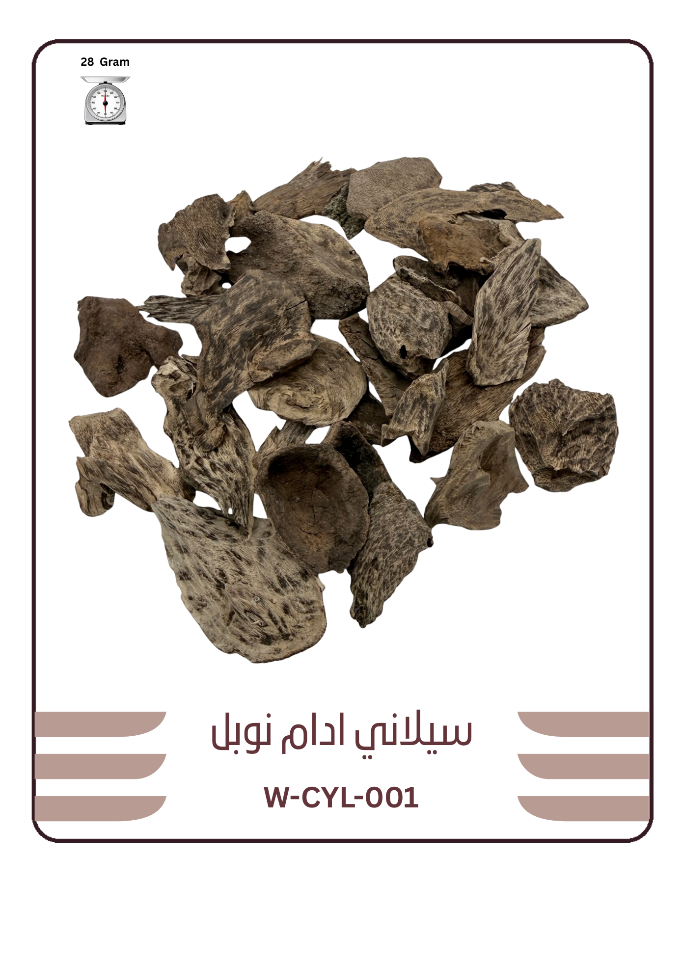 عود سيلاني ادمز