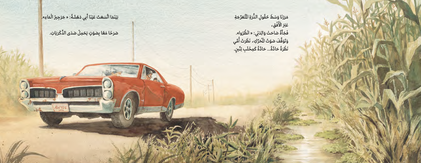 جرجير الماء