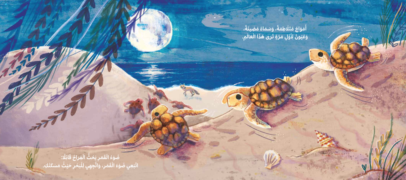 سباق السلاحف إلى البحر