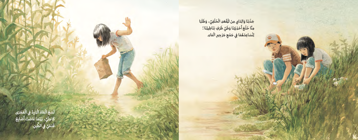 جرجير الماء 