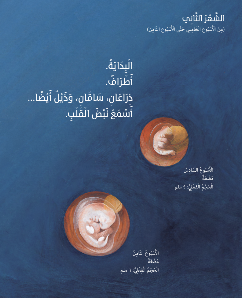 تسعة أشهر قبل الولادة