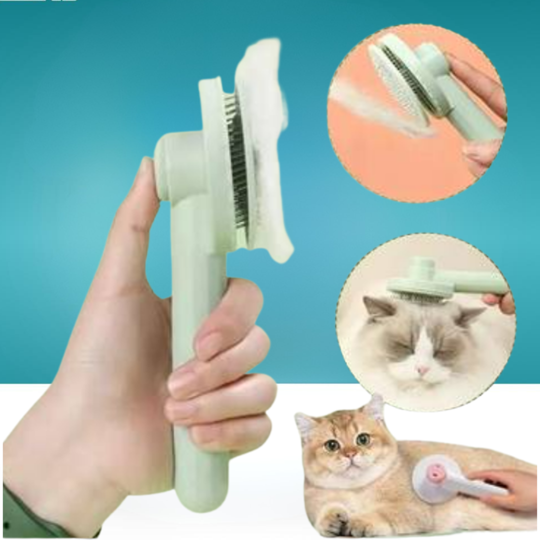  مشط ضغاط بعدة الوان عشوائية 