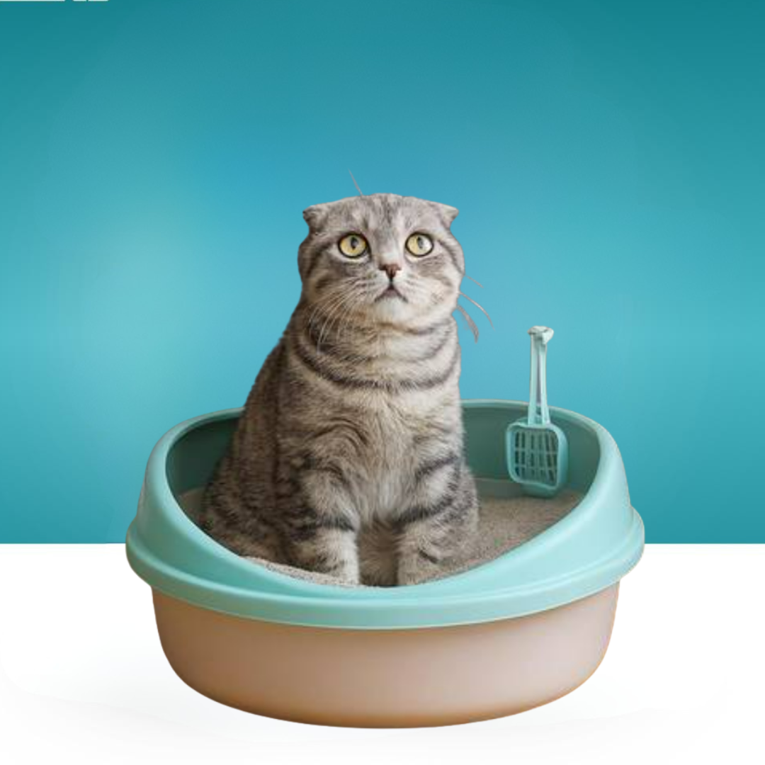  ليتر بوكس موديل 214 