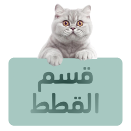 جميع-مستلزمات-القطط
