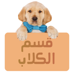 قسم الكلاب