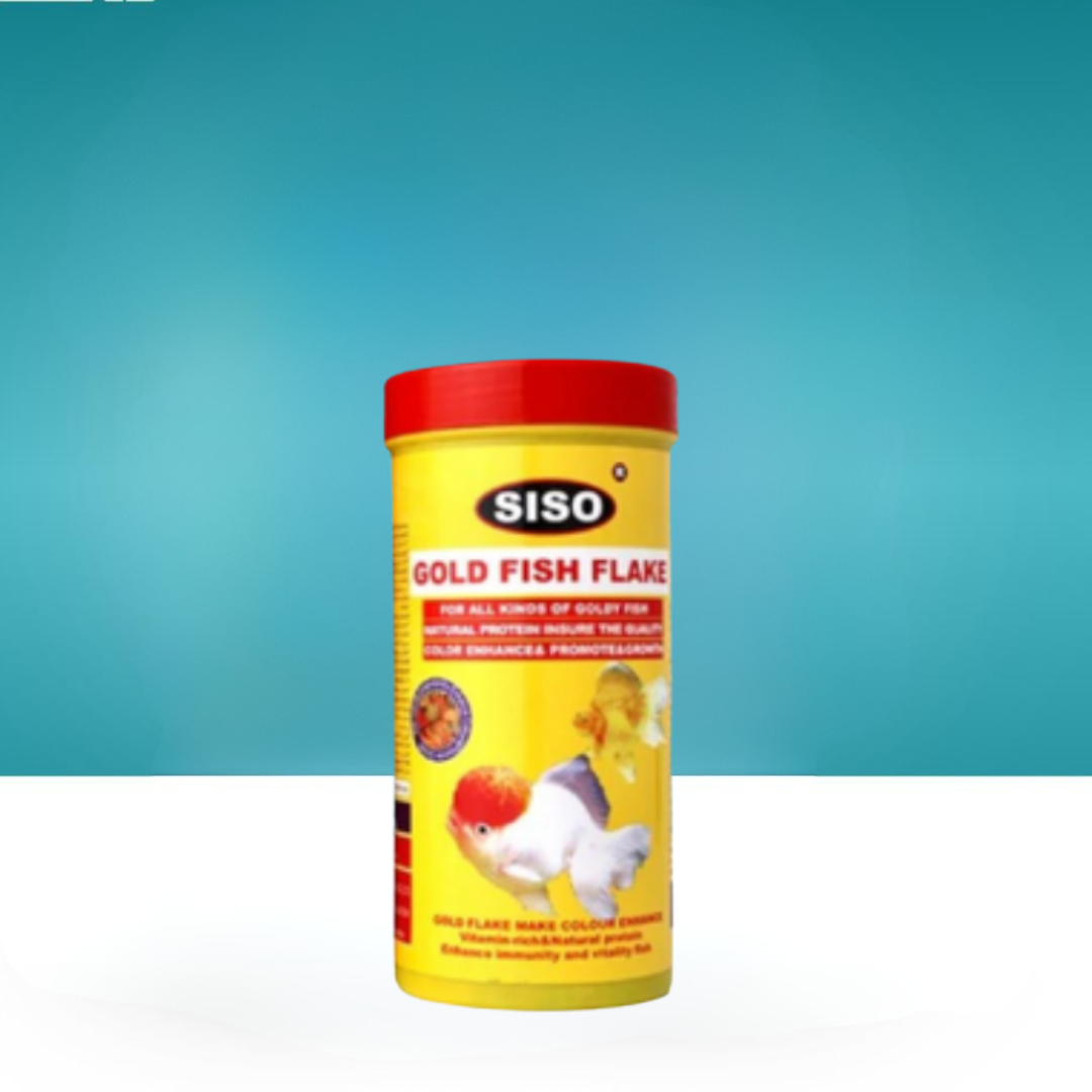  اكل سمك جولد فش Siso gold fish flake 