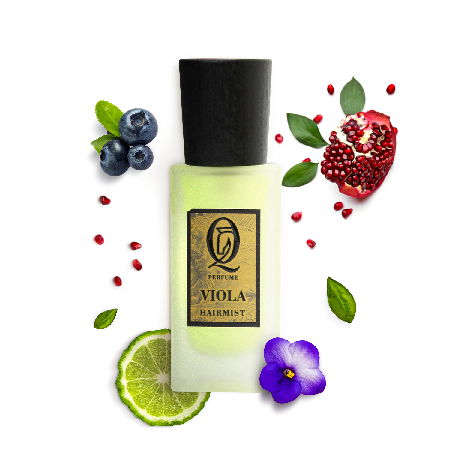 VIOLA