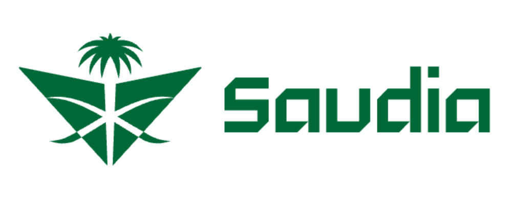 مجسمات الخطوط السعودية