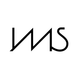اي ام اس | IMS