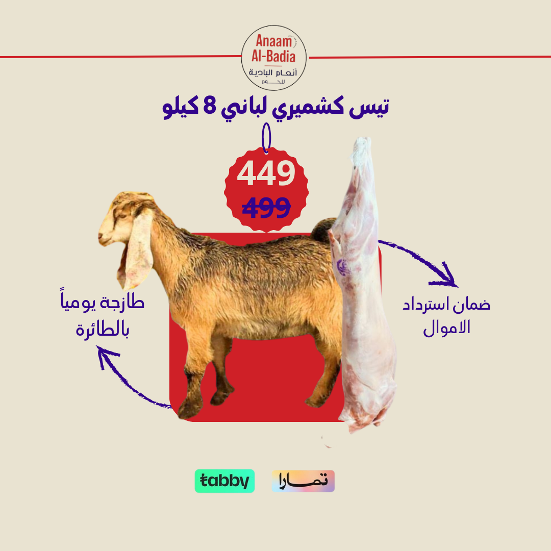 تيس كشميري لبانى 8 كيلو