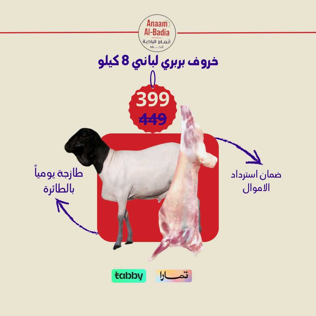 خروف بربري لباني 8 كيلو
